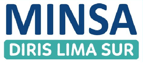 DIRIS Lima Sur
